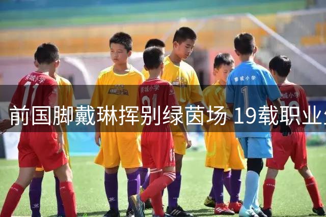 前国脚戴琳挥别绿茵场 19载职业生涯完美谢幕